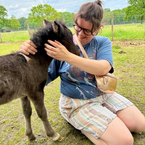 Een veulen knuffelen op de boerderij